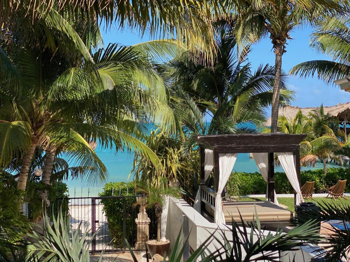 Villa Albatros Oceanfront Luxury Hotelzone Cancún Exteriér fotografie